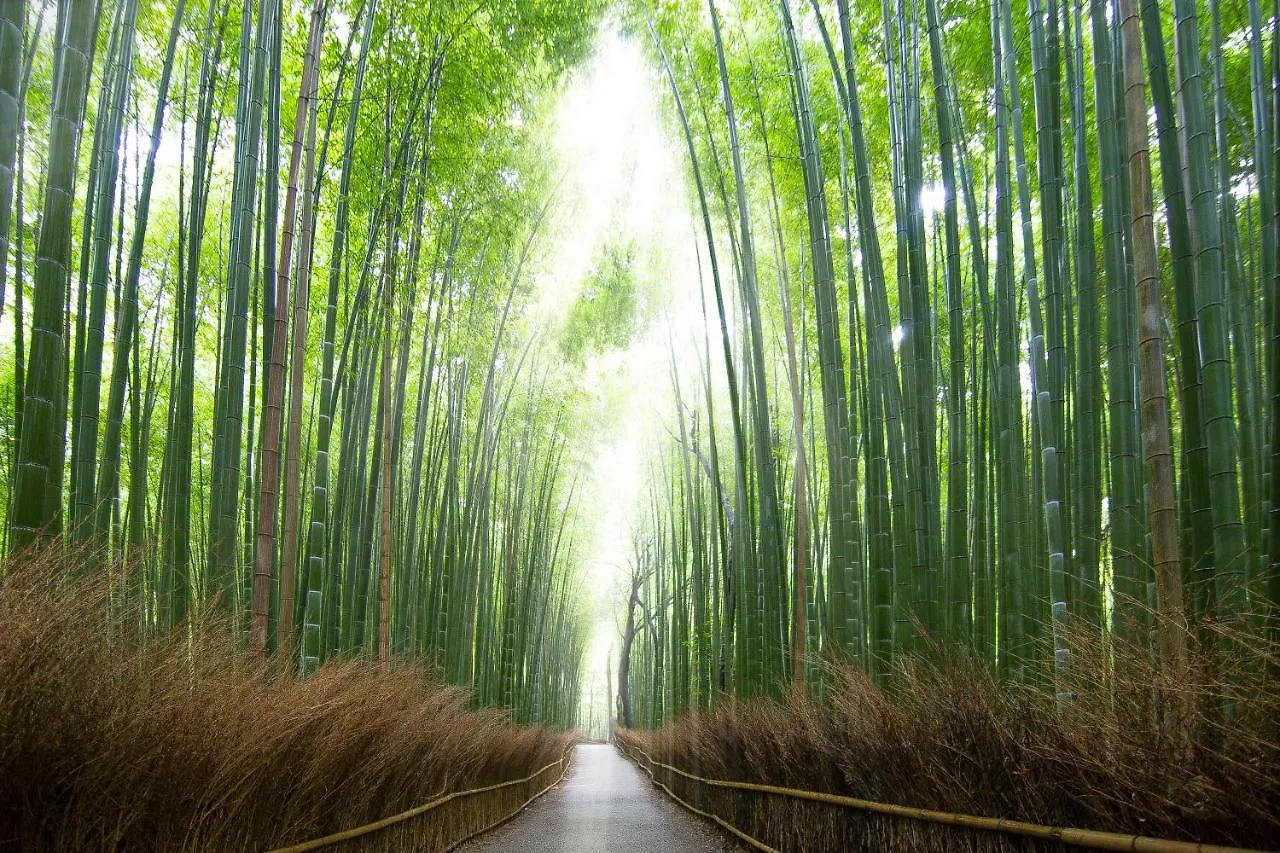 嵯峨岚山比纳里奥酒店 京都 4*,